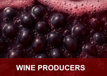 Fermentation Fermentation